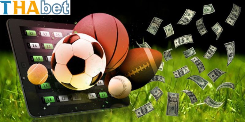 Thabet - Ưu Đãi Đặc Biệt Dành Cho Người Chơi Cá Cược 3 Top 4 chương trình ưu đãi bạn không nên bỏ lỡ